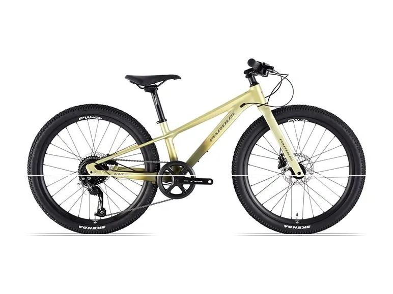 Pardus Mini NAIK RS 24", Disc Altus 2025